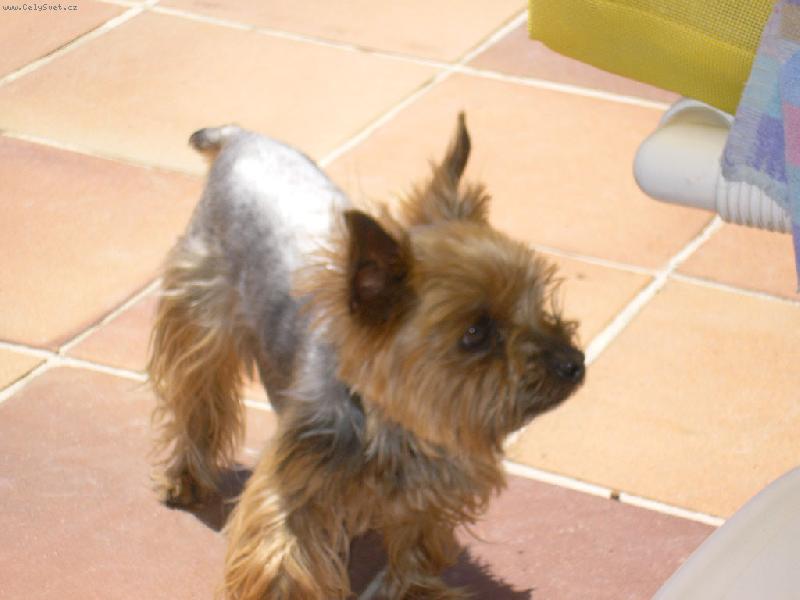 Foto: Lusina
